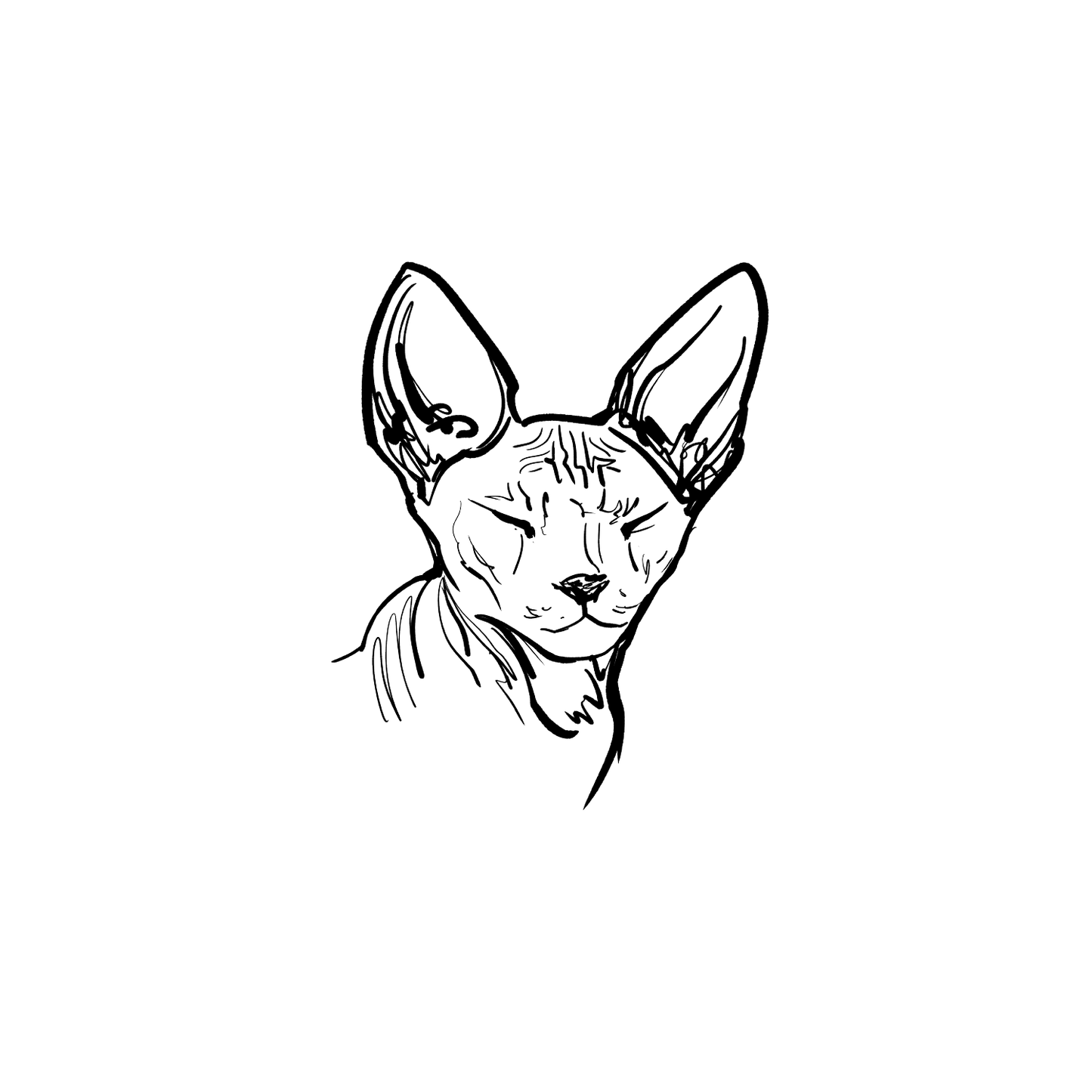 斯芬克斯盲盒:半永久紋身
