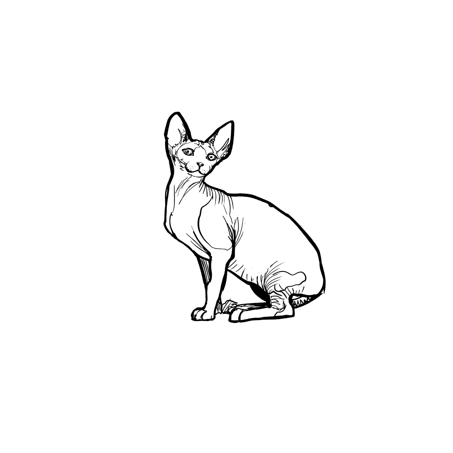 斯芬克斯盲盒:半永久紋身