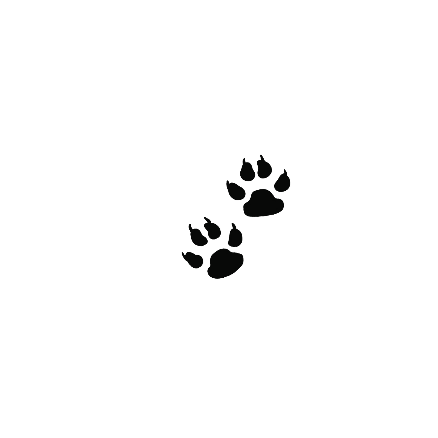 斯芬克斯盲盒:半永久紋身