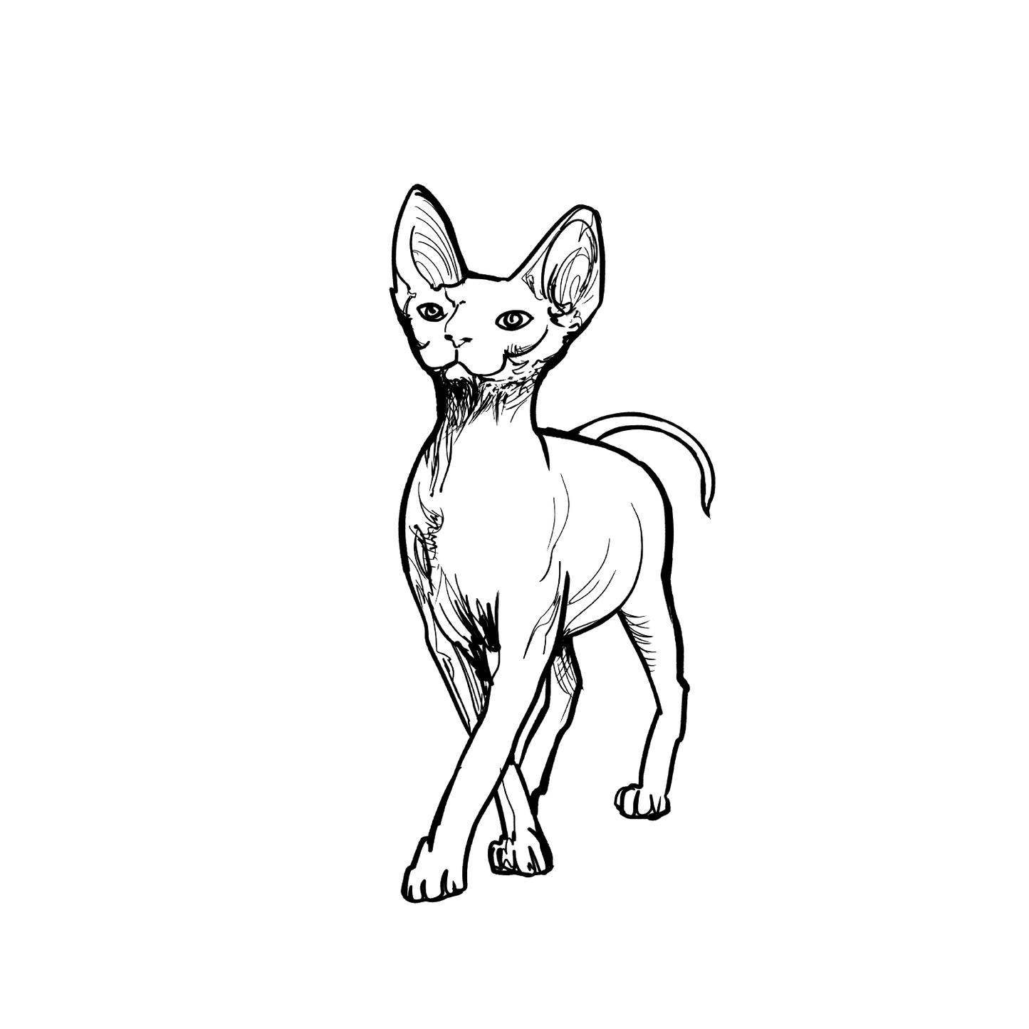 斯芬克斯盲盒:半永久紋身