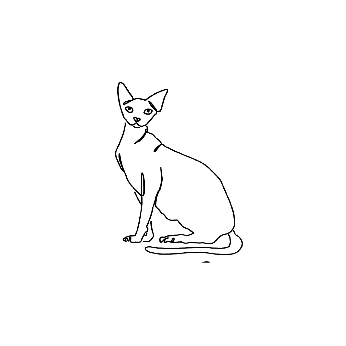 斯芬克斯盲盒:半永久紋身