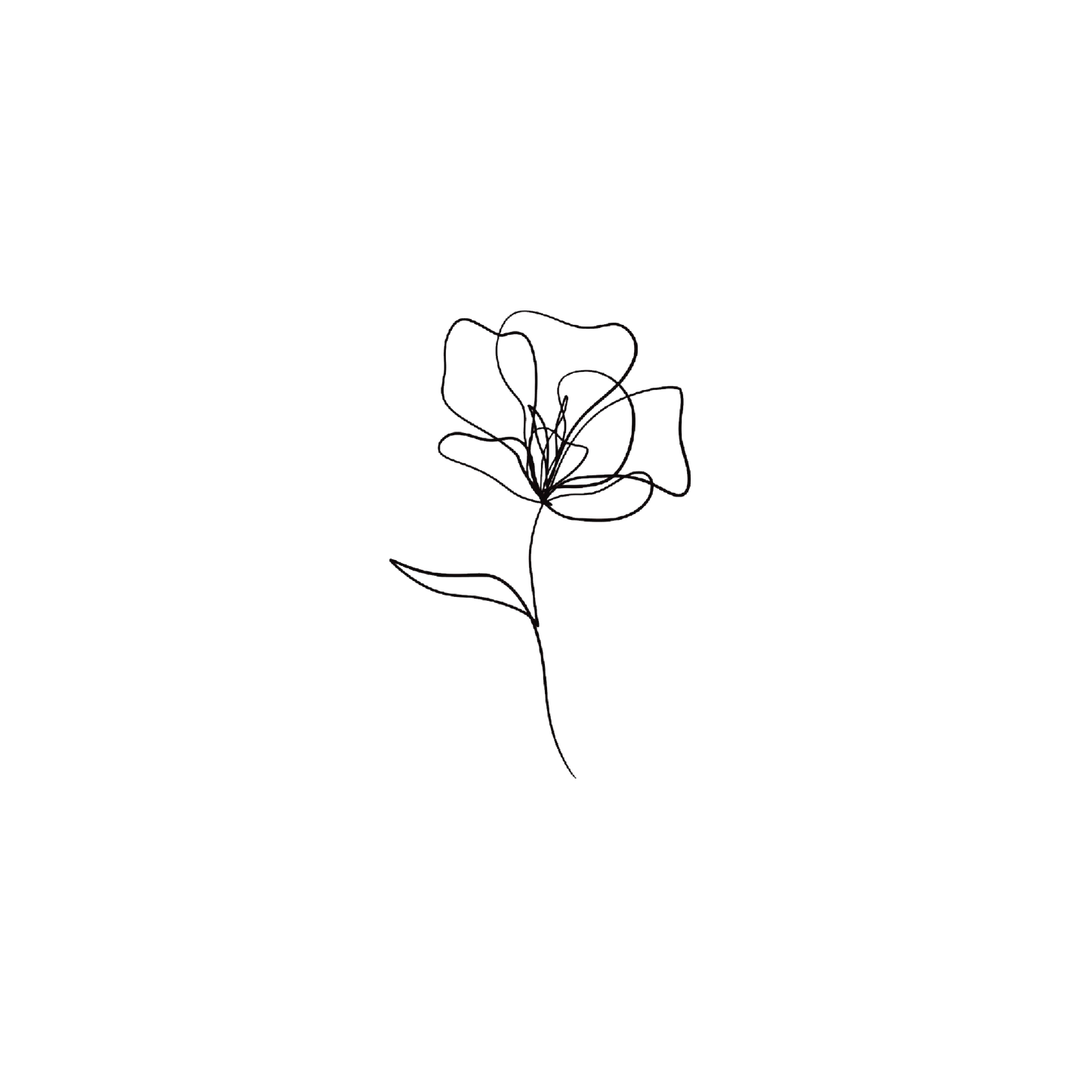 Line Lily 2