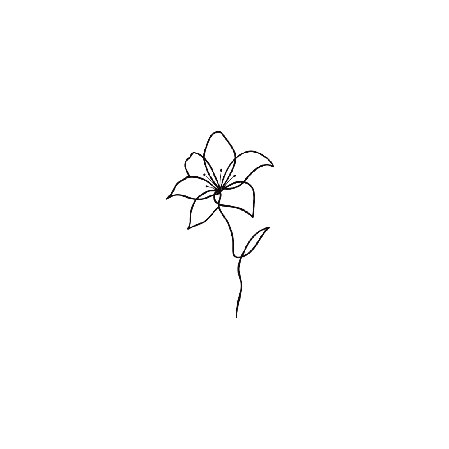 Line Lily 3