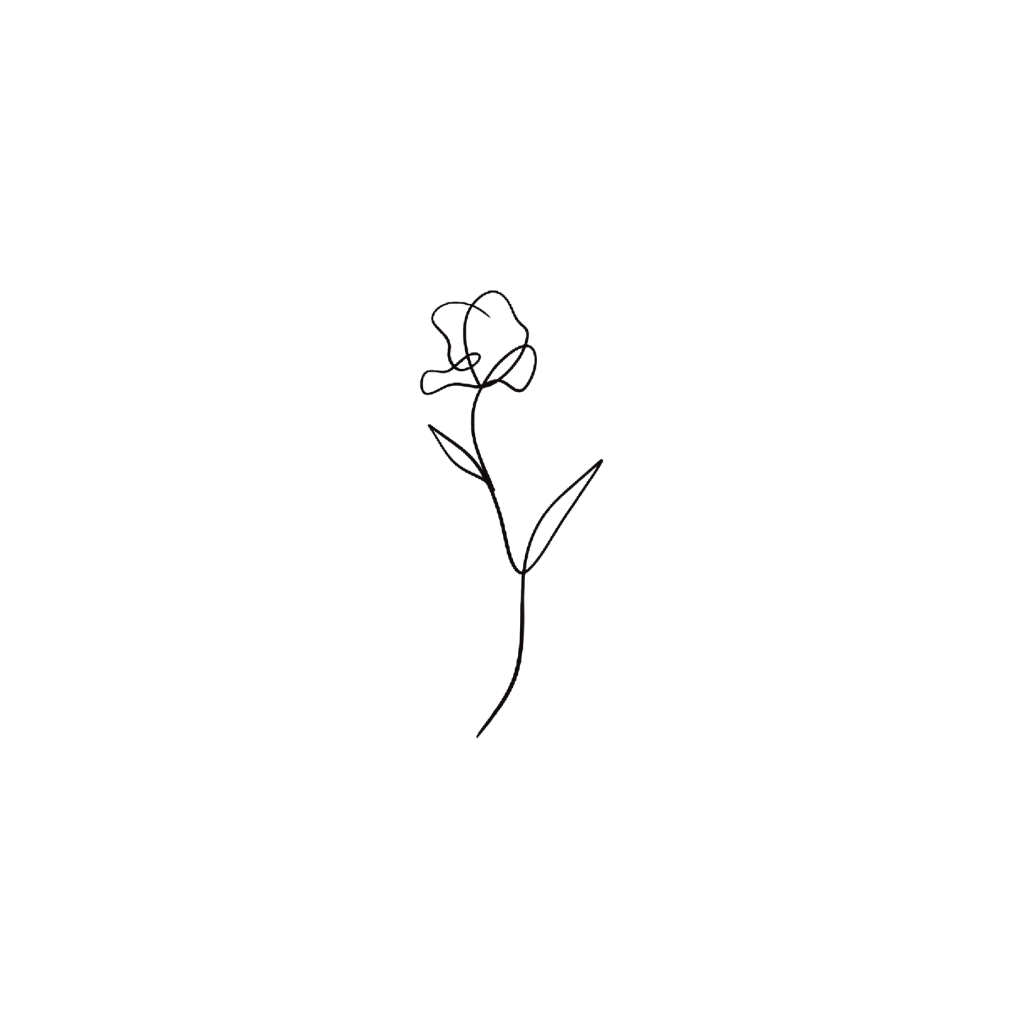 Line Tulip 1