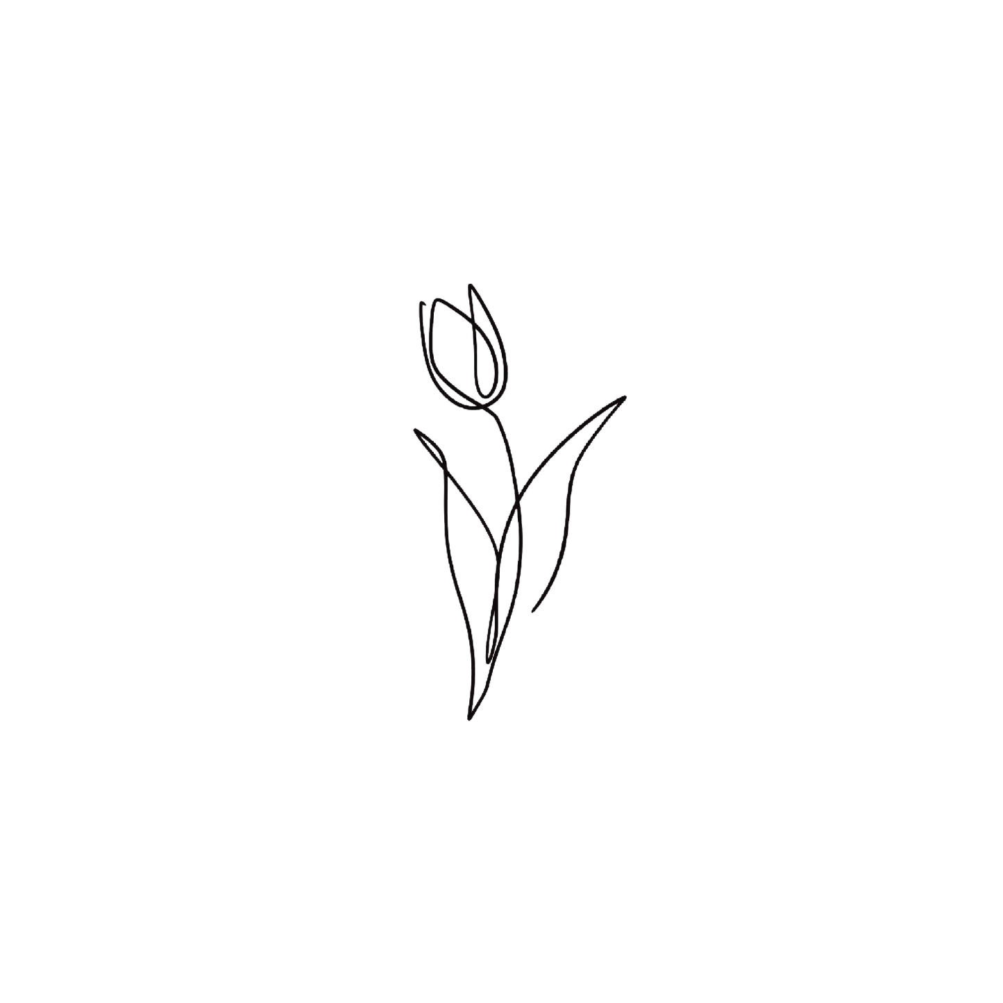 Line Tulip 2