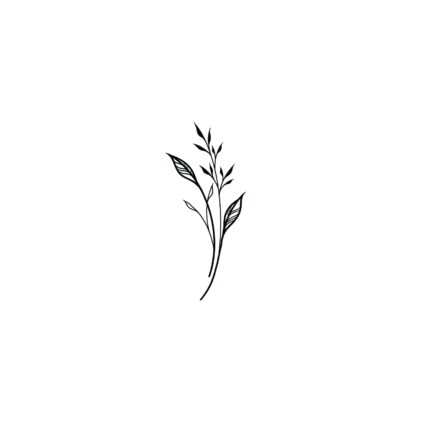 Line Leaf 5