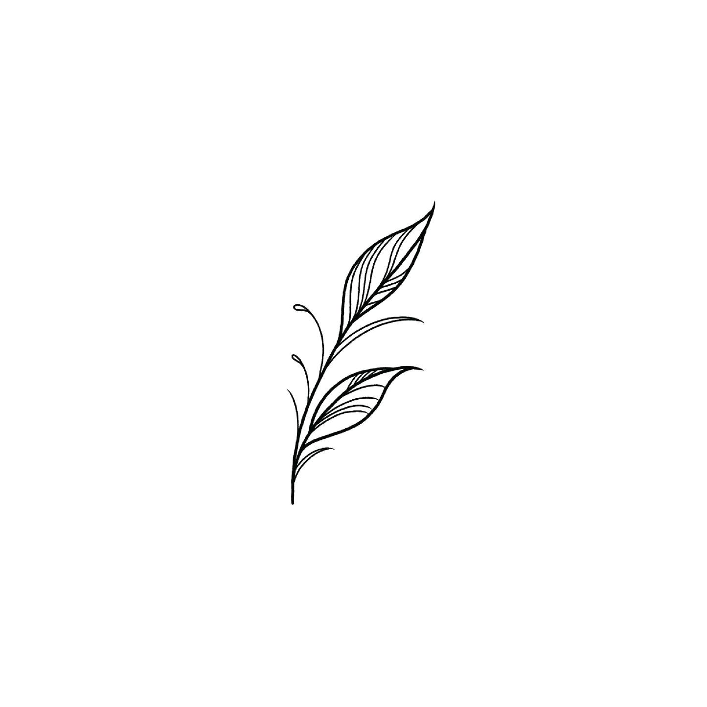 Line Leaf 6