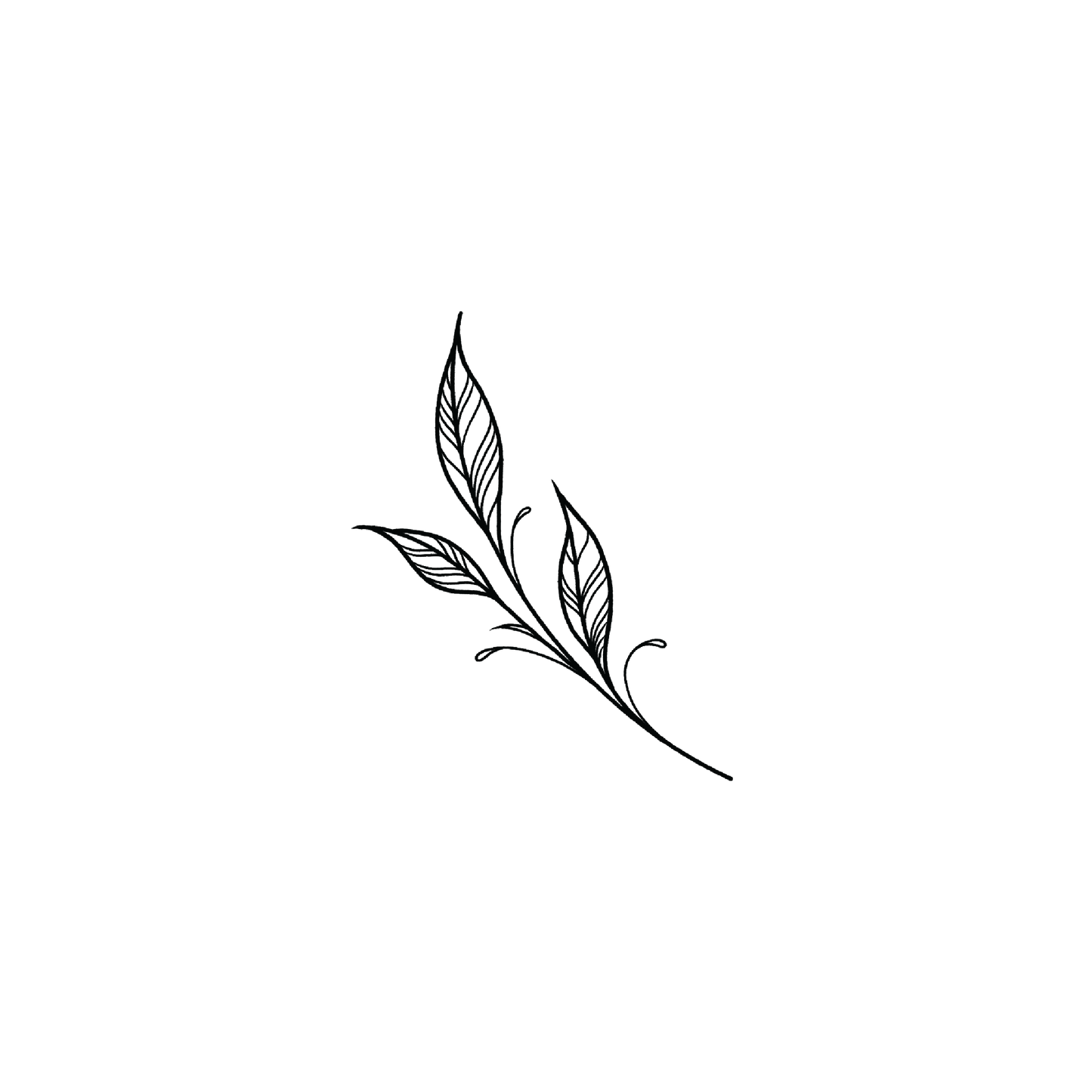 Line Leaf 1