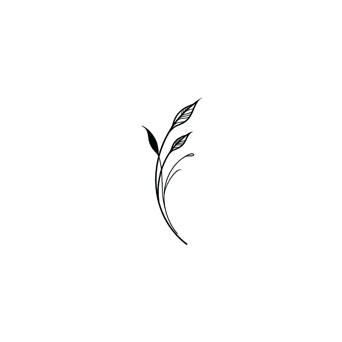 Line Leaf 3