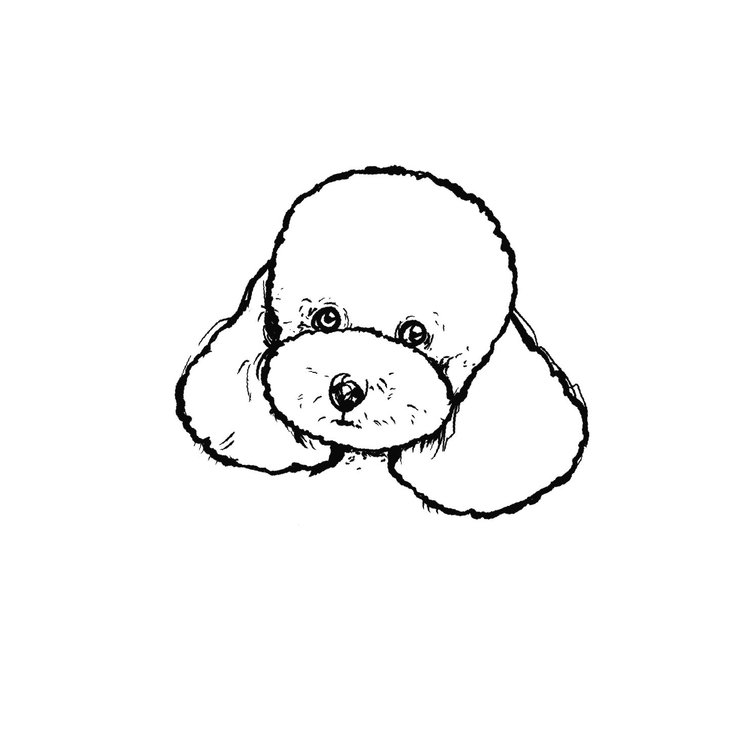 貴賓狗盲盒:半永久紋身