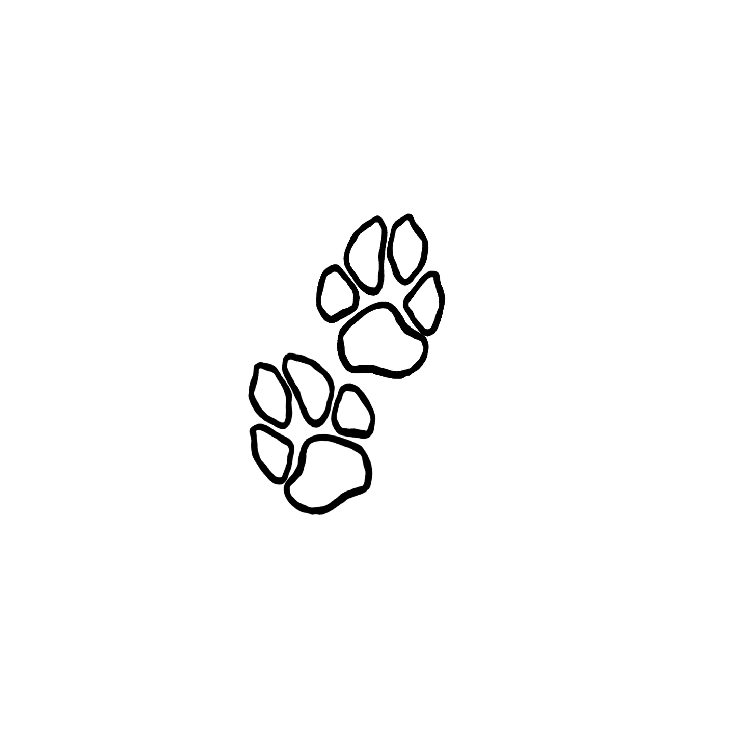 貴賓狗盲盒:半永久紋身