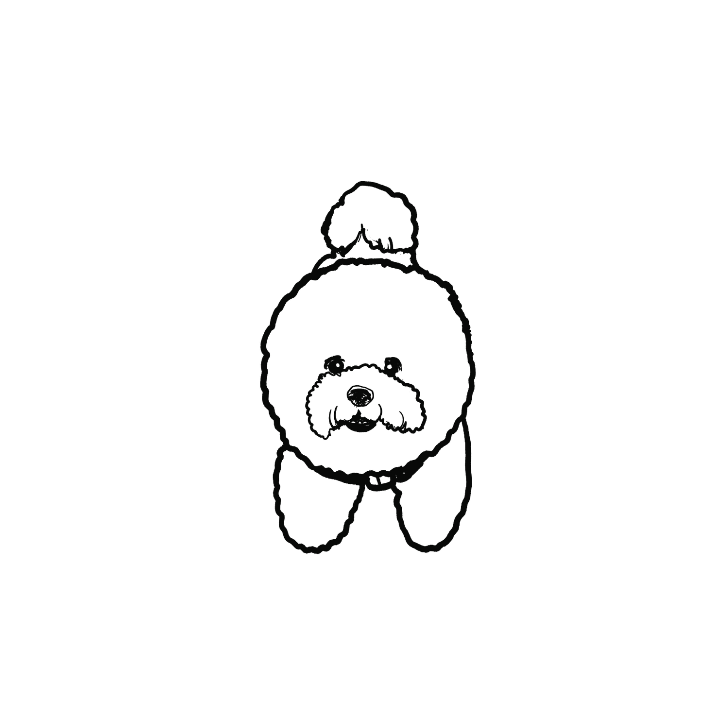 比熊盲盒:半永久紋身