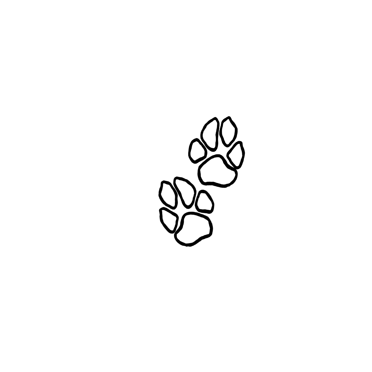 比熊盲盒:半永久紋身