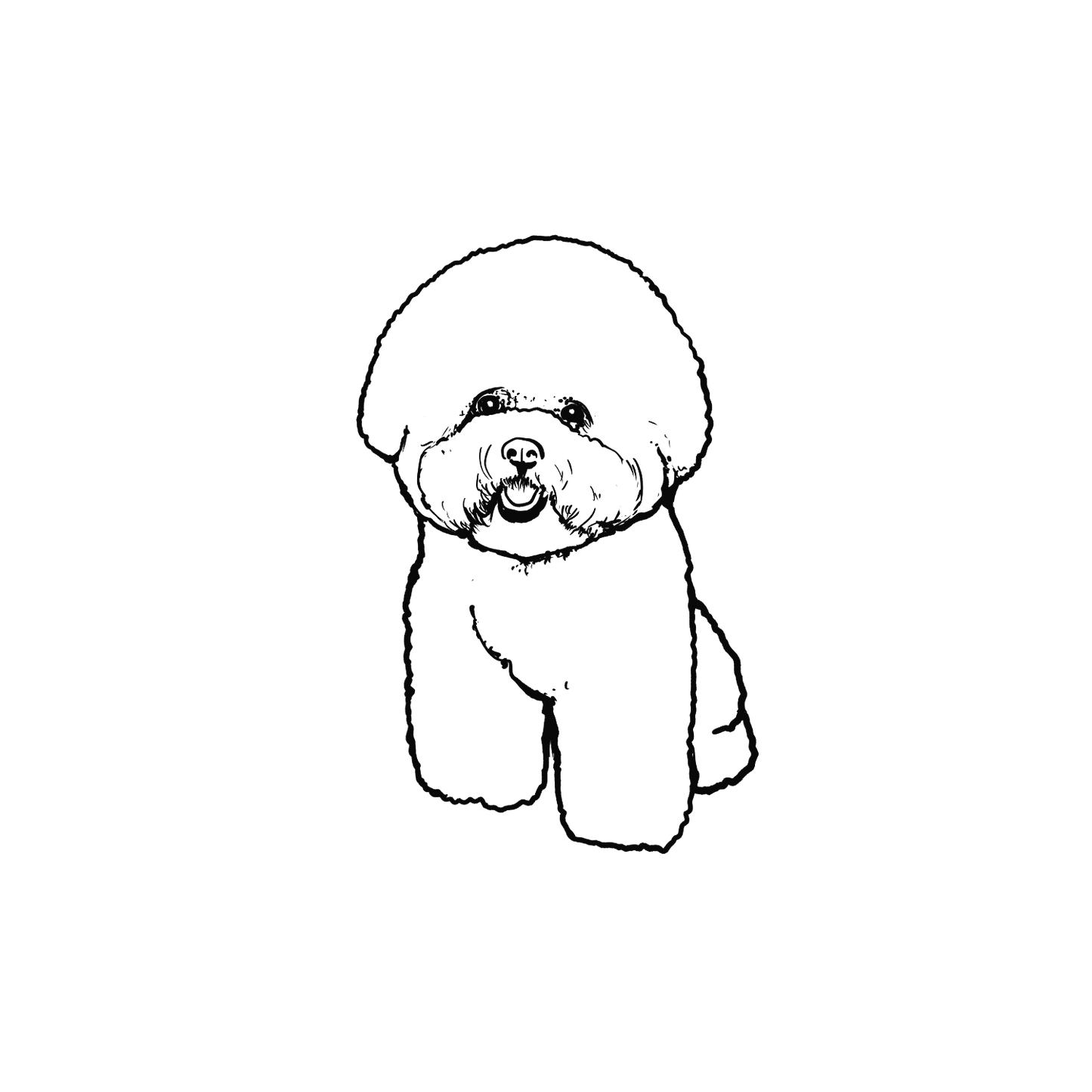比熊盲盒:半永久紋身