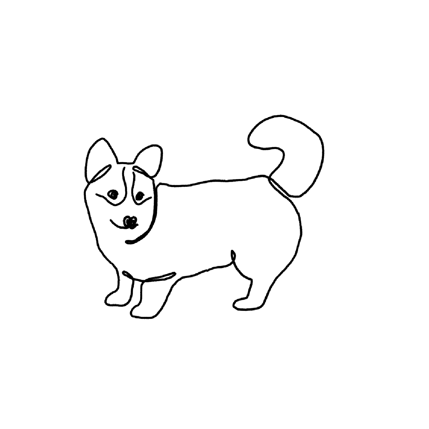 柯基盲盒:半永久紋身