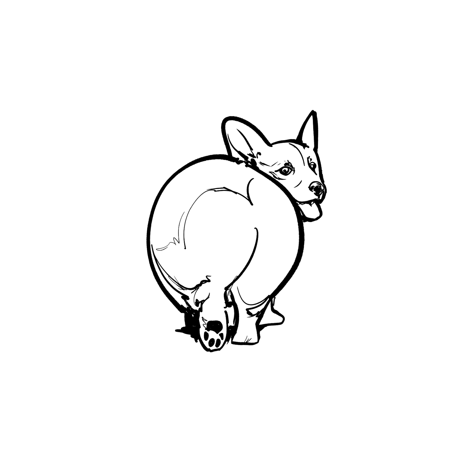 柯基盲盒:半永久紋身