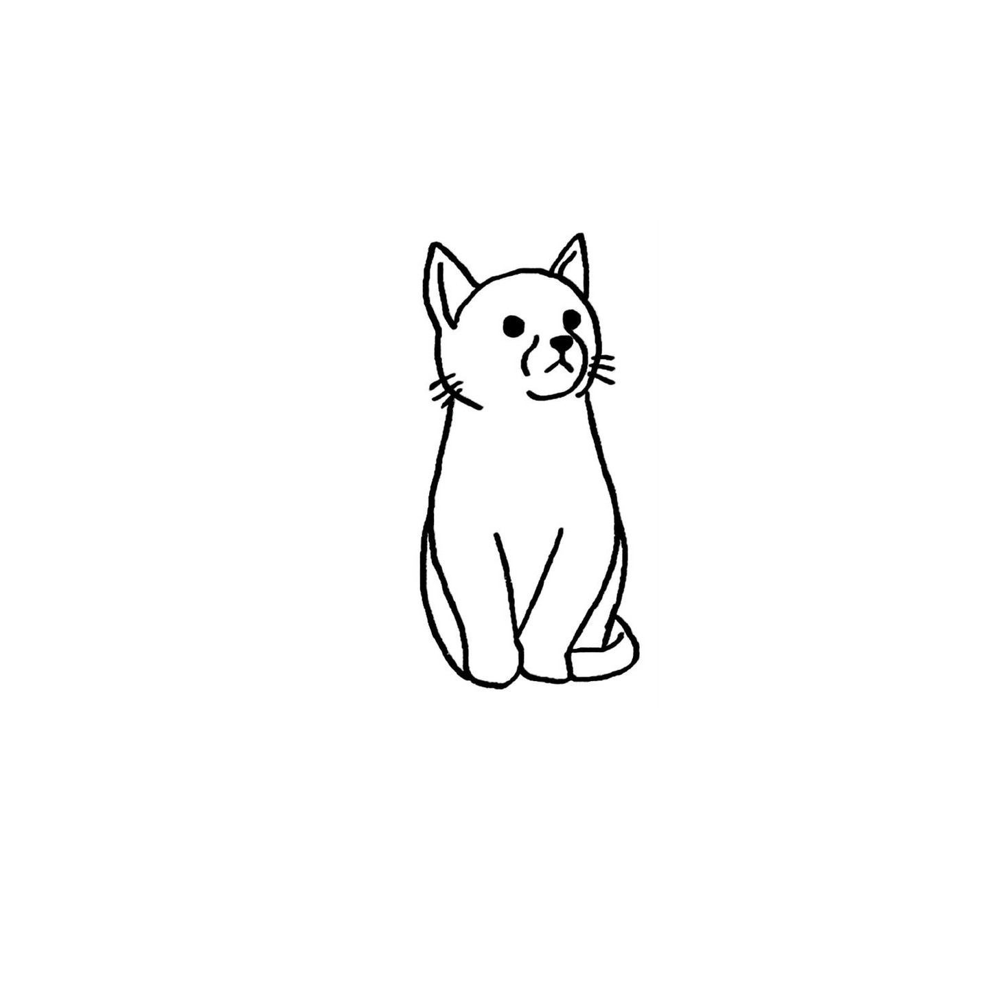 家貓盲盒:半永久紋身