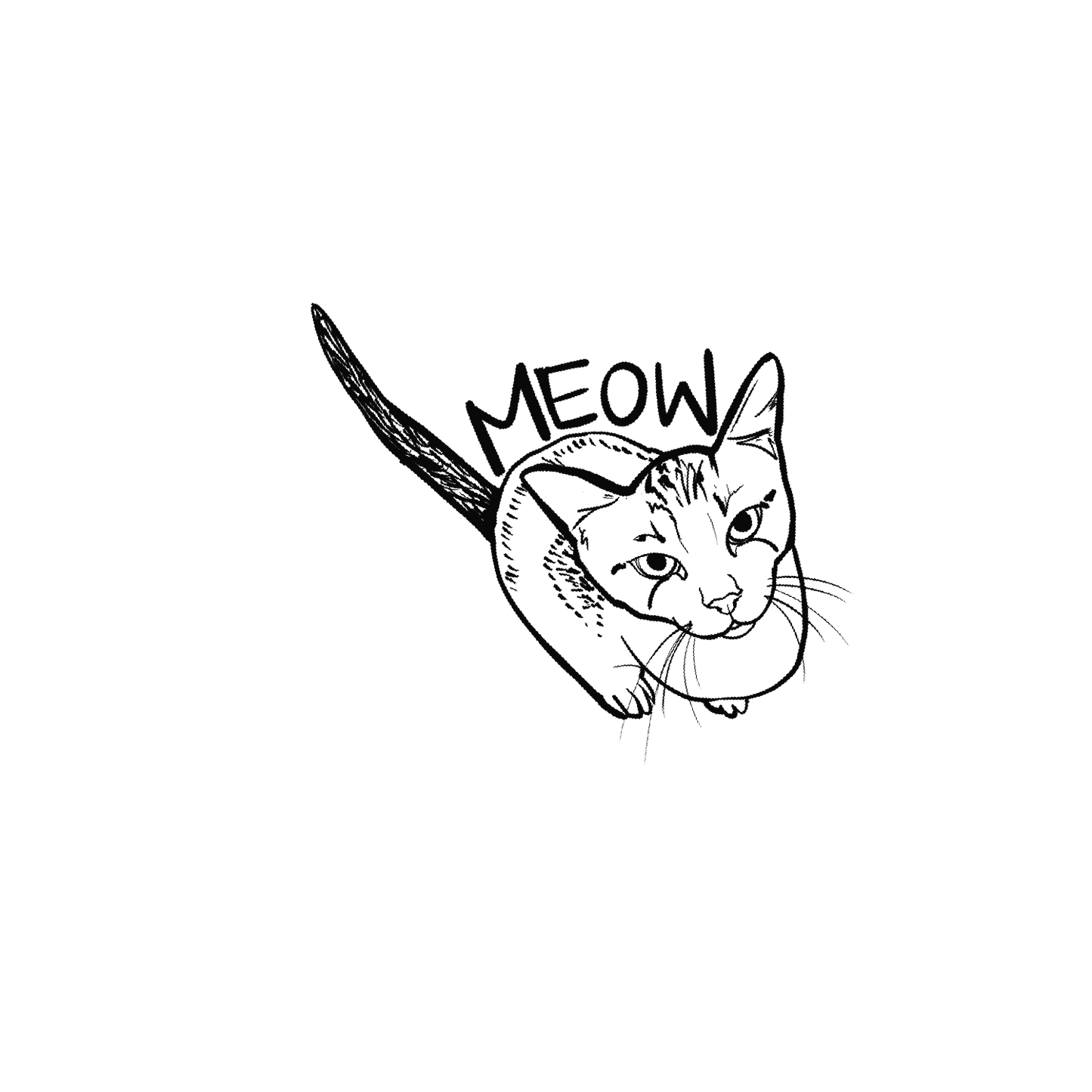 家貓盲盒:半永久紋身