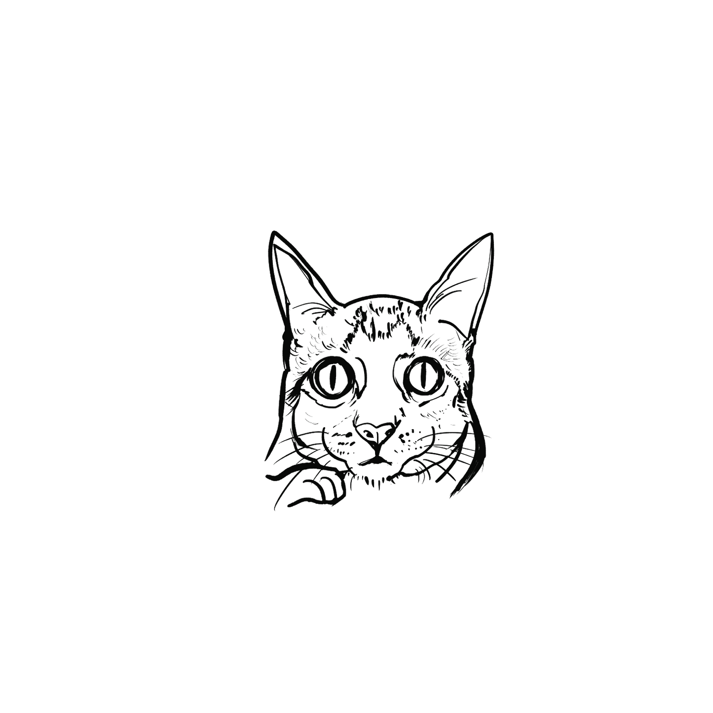 家貓盲盒:半永久紋身