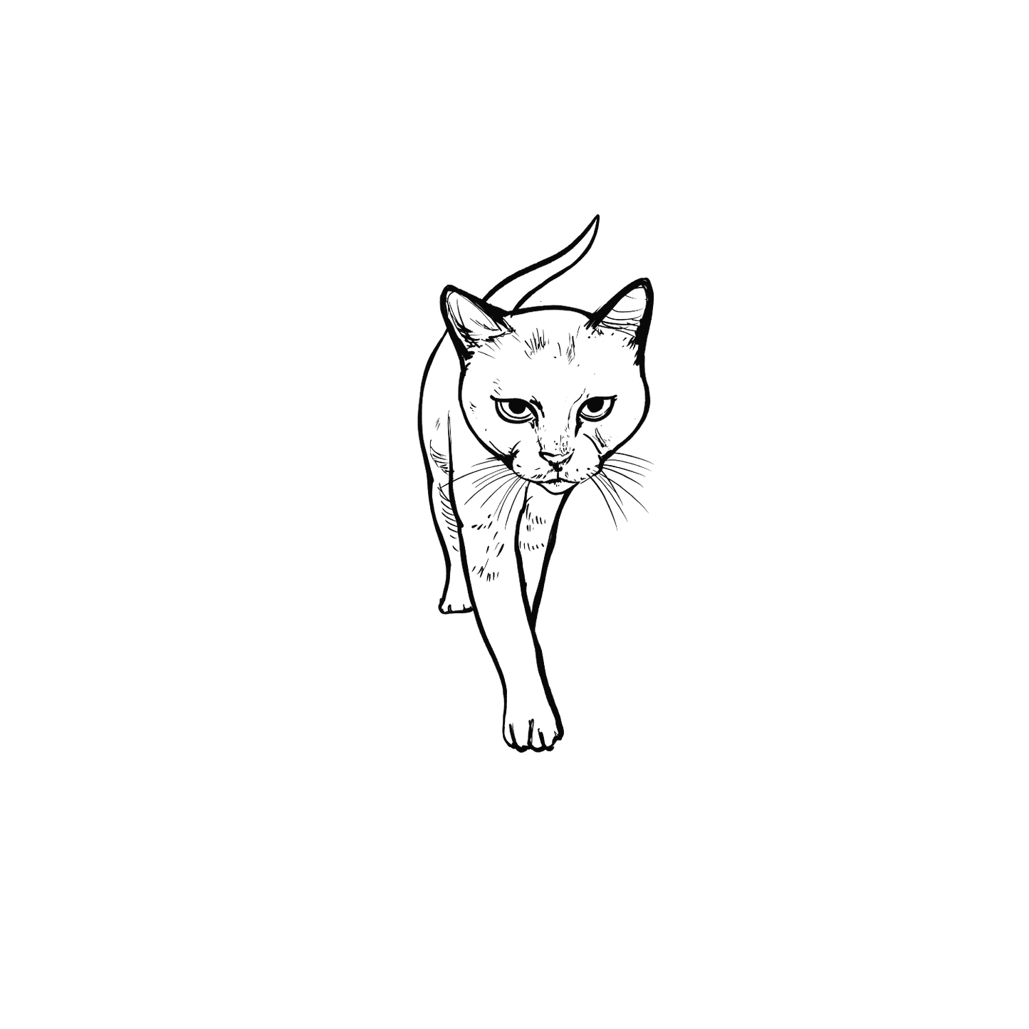 家貓盲盒:半永久紋身