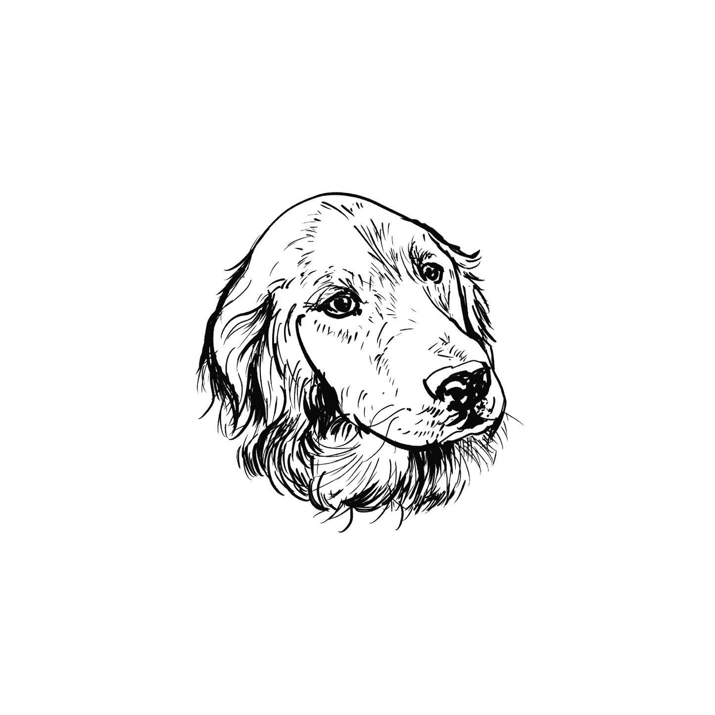 金色盲盒:半永久紋身