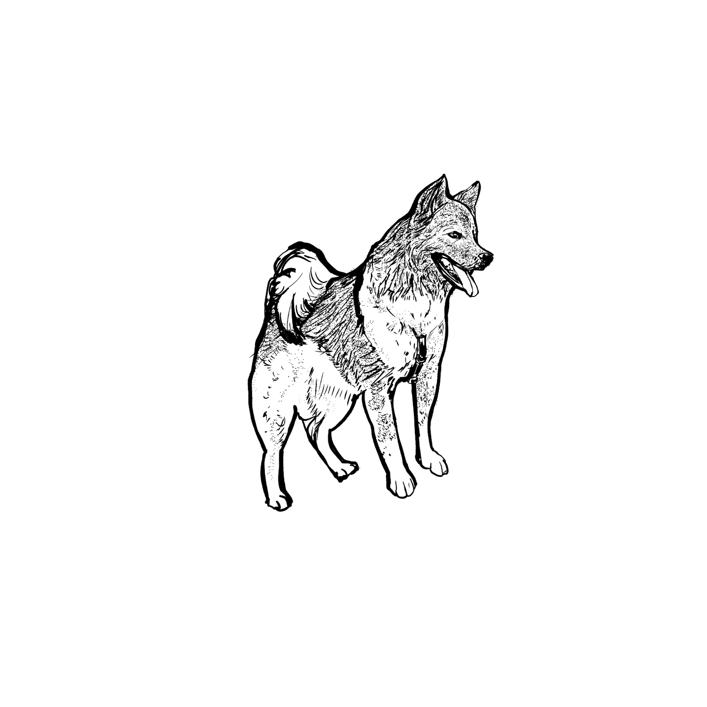 Mongrel盲盒:半永久紋身