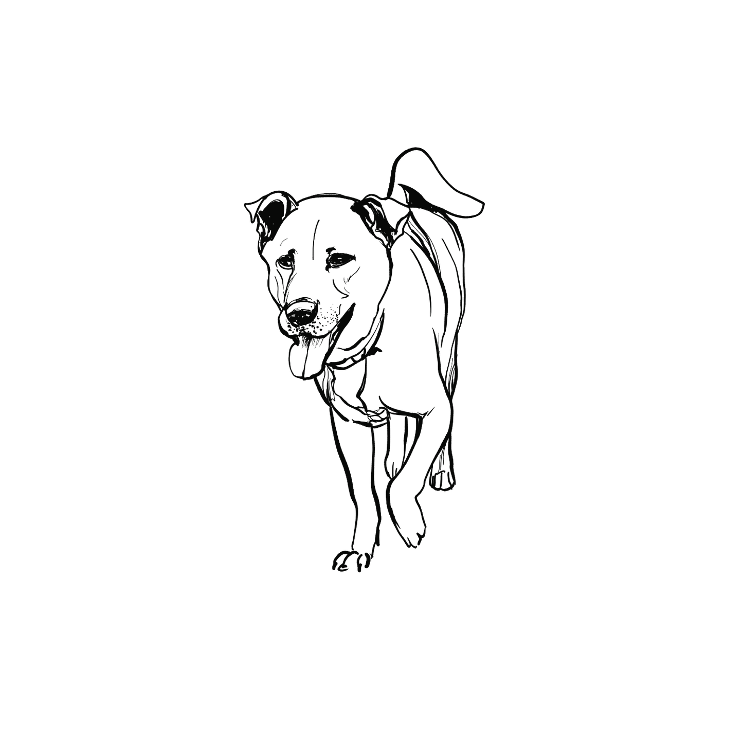 Mongrel盲盒:半永久紋身