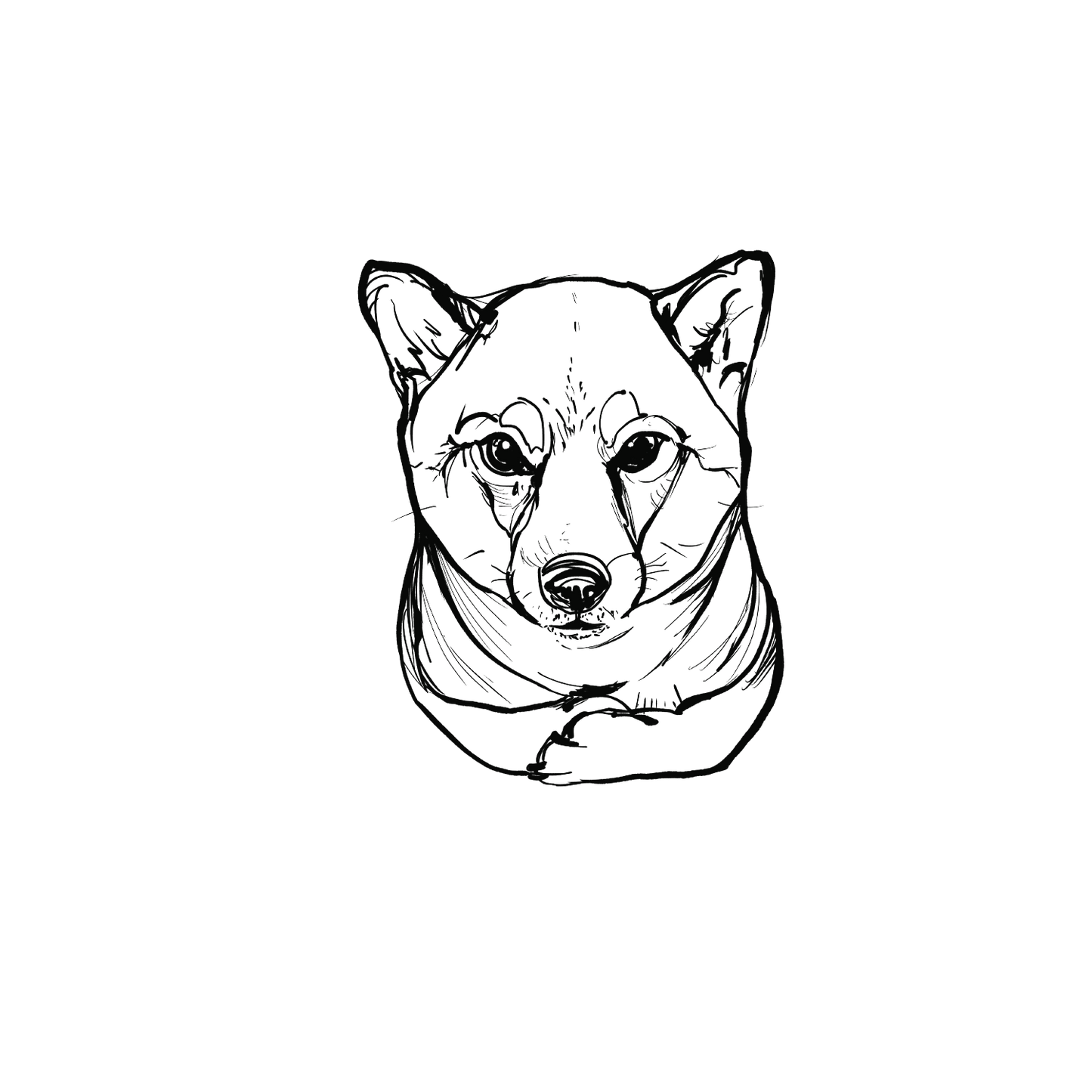柴犬盲盒:半永久紋身