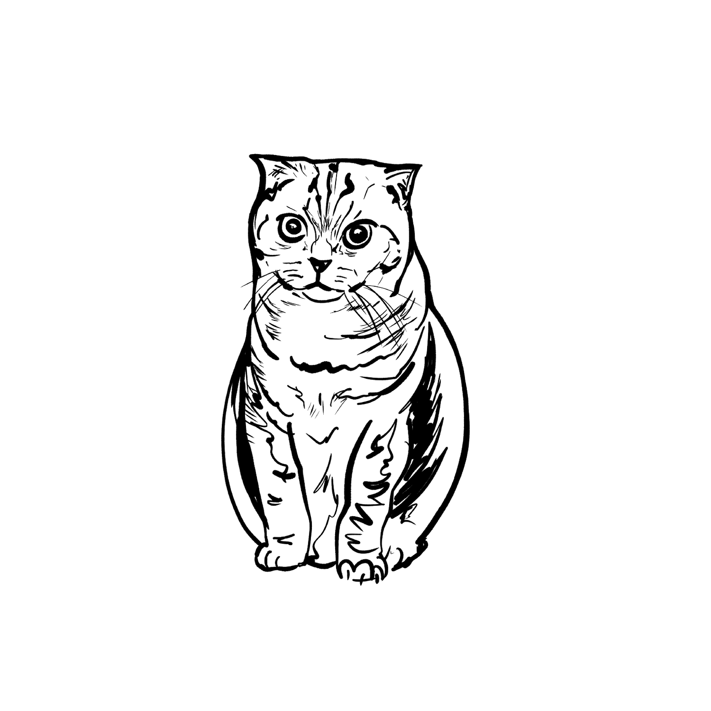 短毛貓盲盒:半永久紋身