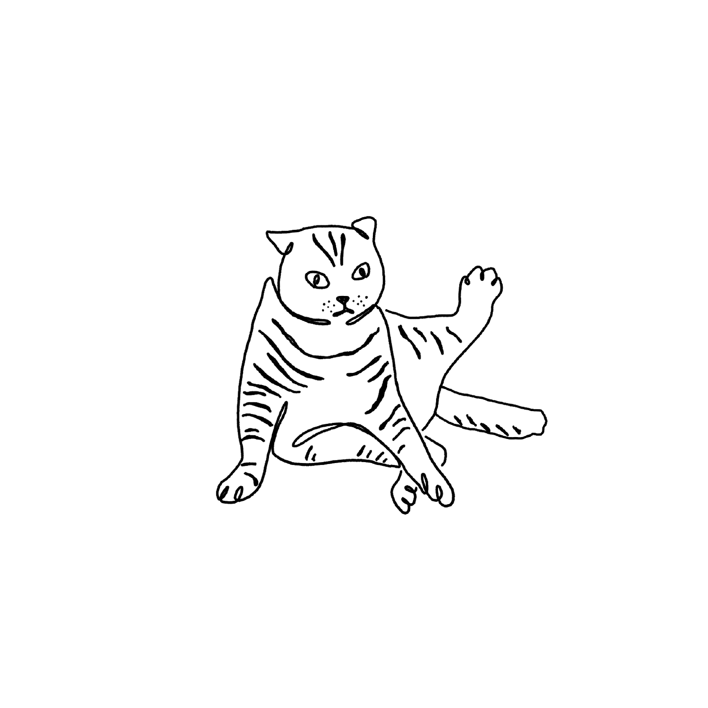 短毛貓盲盒:半永久紋身