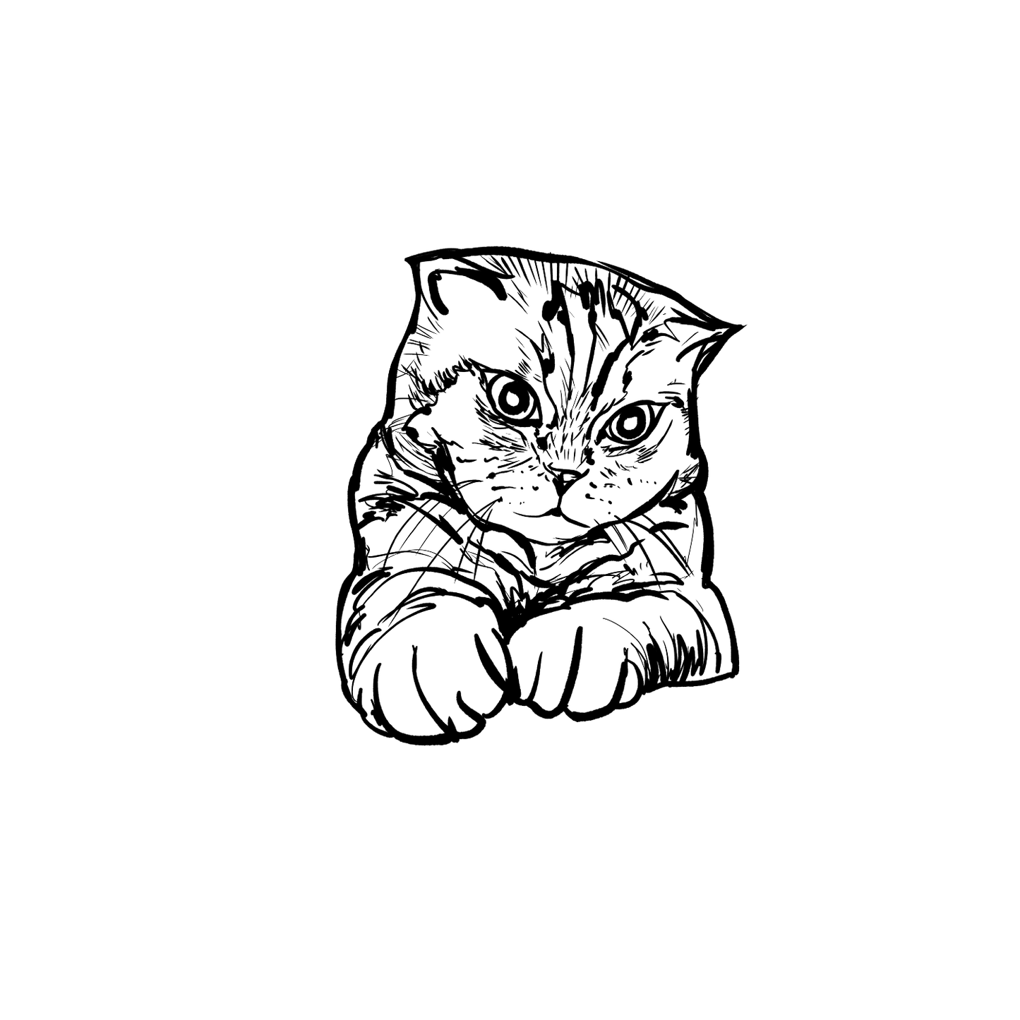短毛貓盲盒:半永久紋身