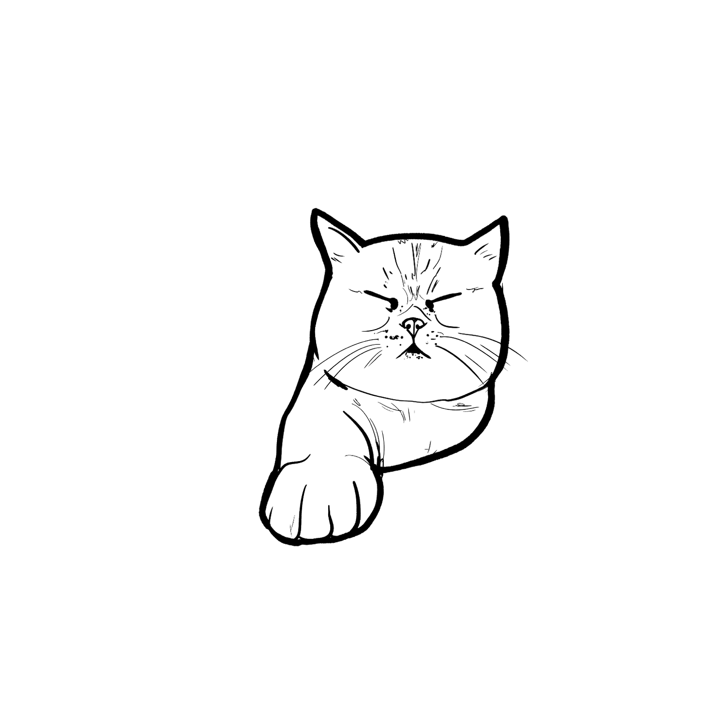 短毛貓盲盒:半永久紋身