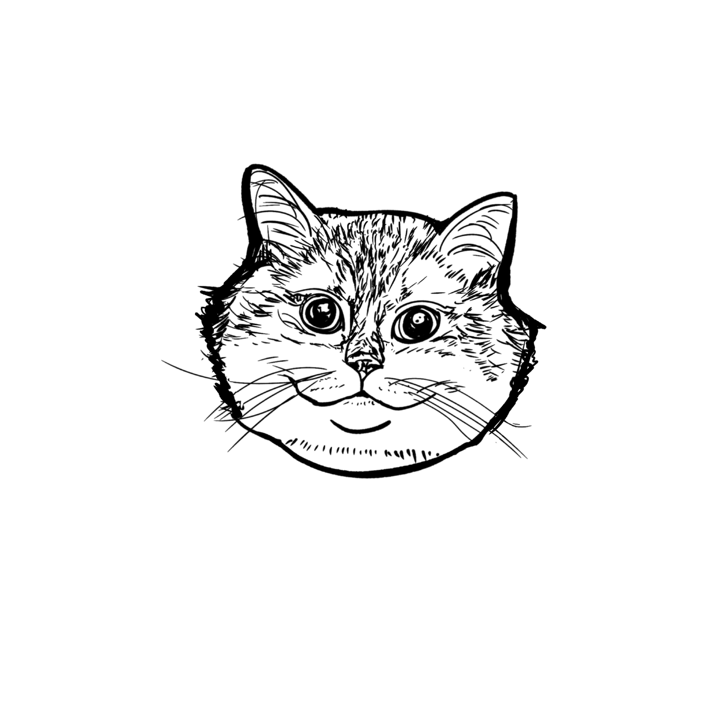 短毛貓盲盒:半永久紋身