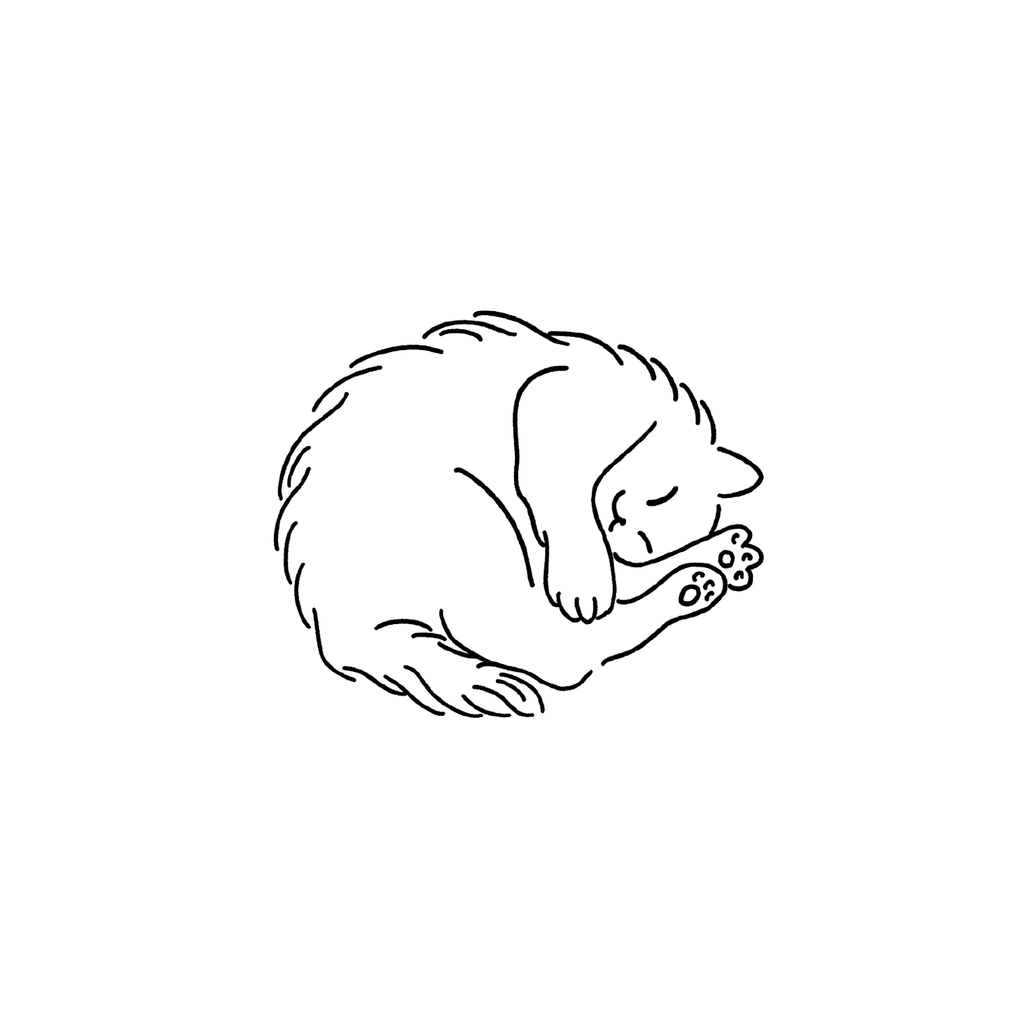 長毛貓盲盒:半永久紋身