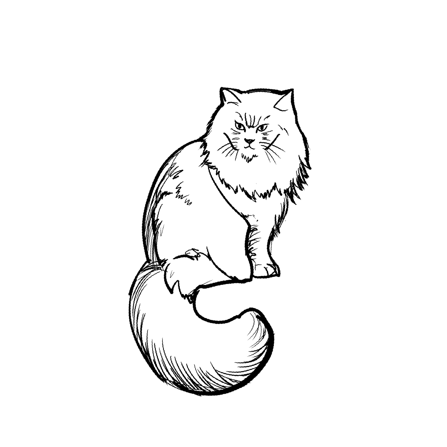 長毛貓盲盒:半永久紋身