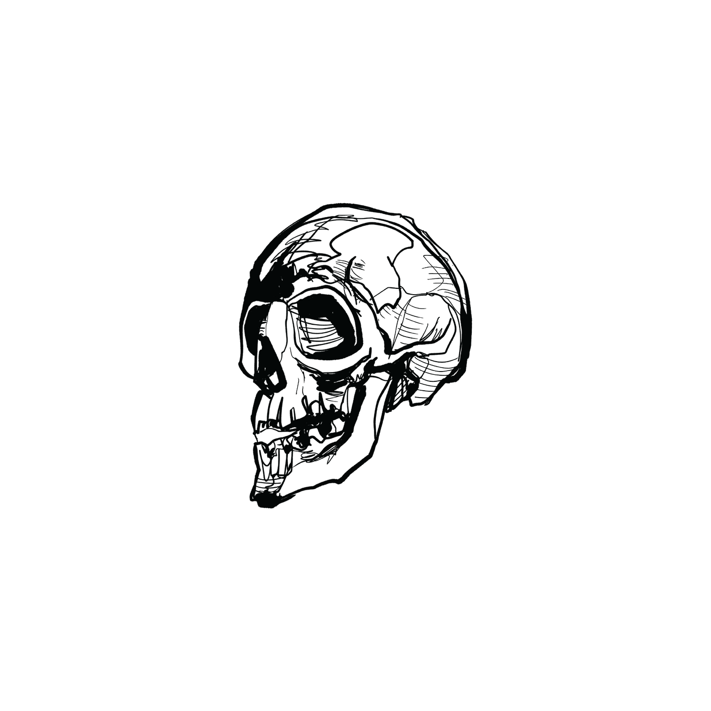 骷髏藝術(骷髏 v.2)