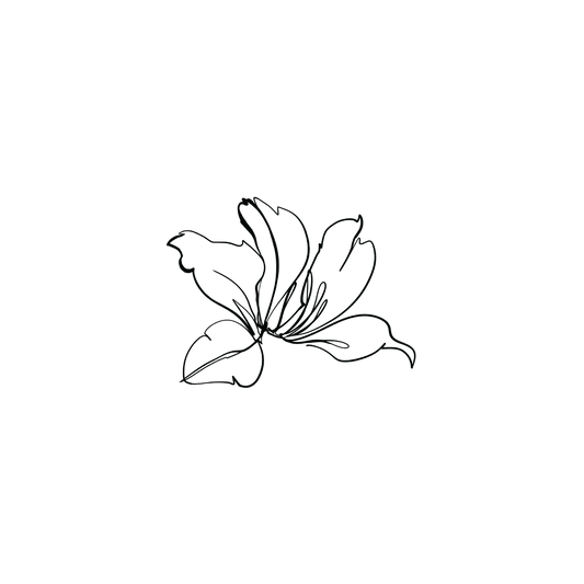 Hong Kong Orchid 1