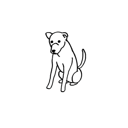 Mongrel Blind Box: Semi-Permanent Tattoos