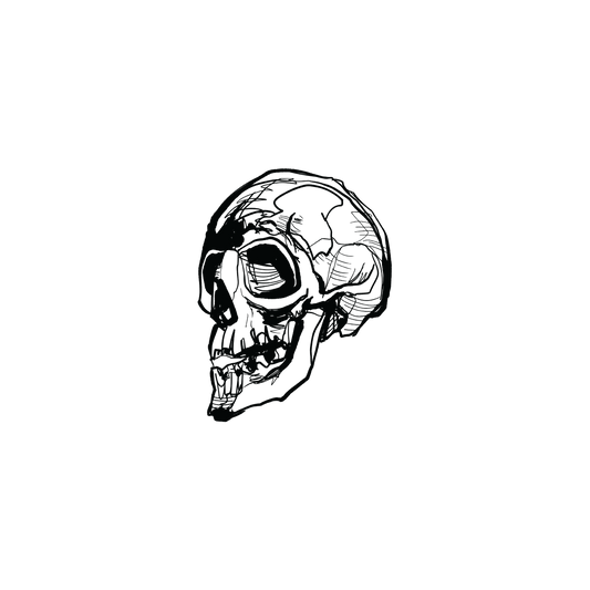 Skull Art (Skull v.2)