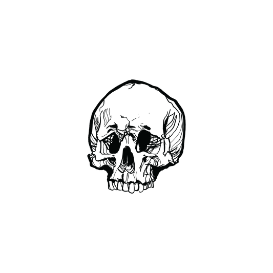 Skull Art (Skull v.3)