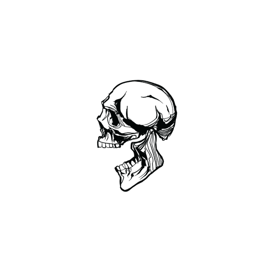 Skull Art (Skull v.5)