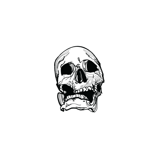 Skull Art (Skull v.6)