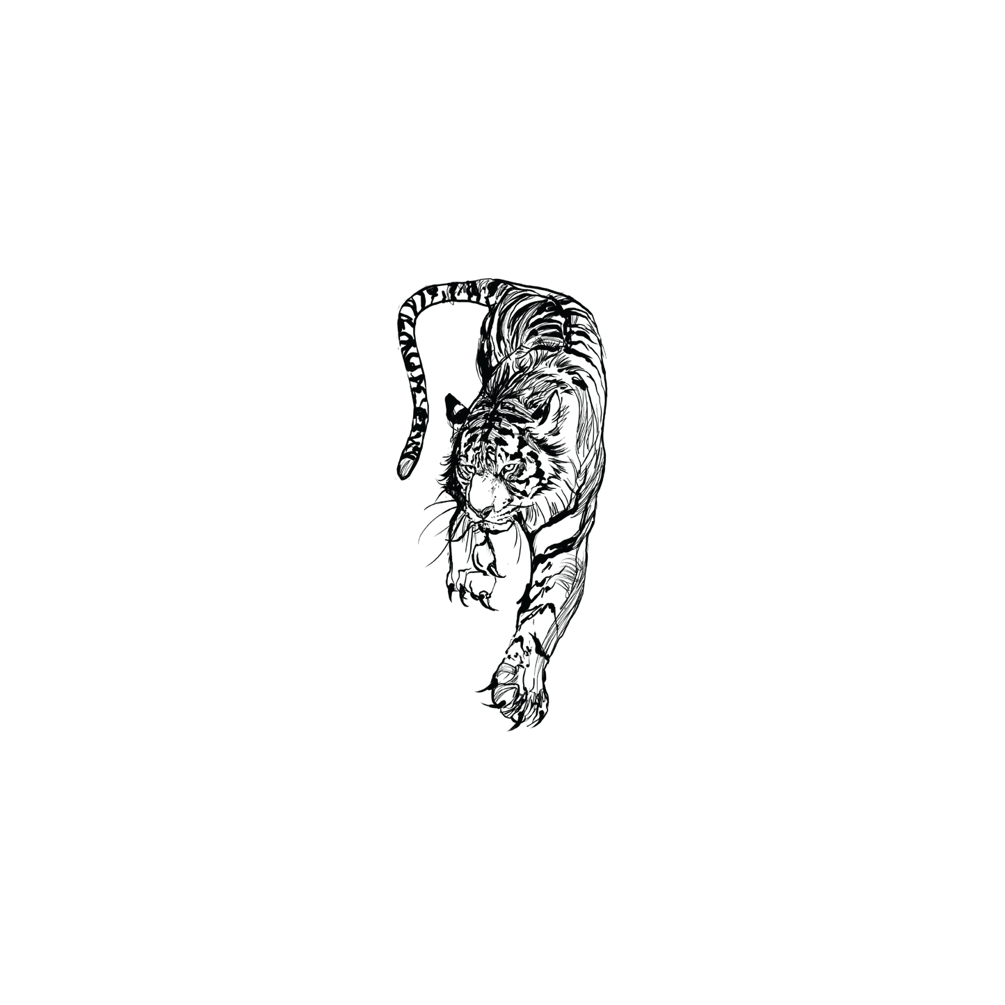 Tigon v.3