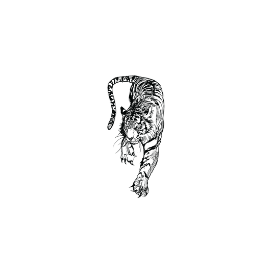 Tigon v.3