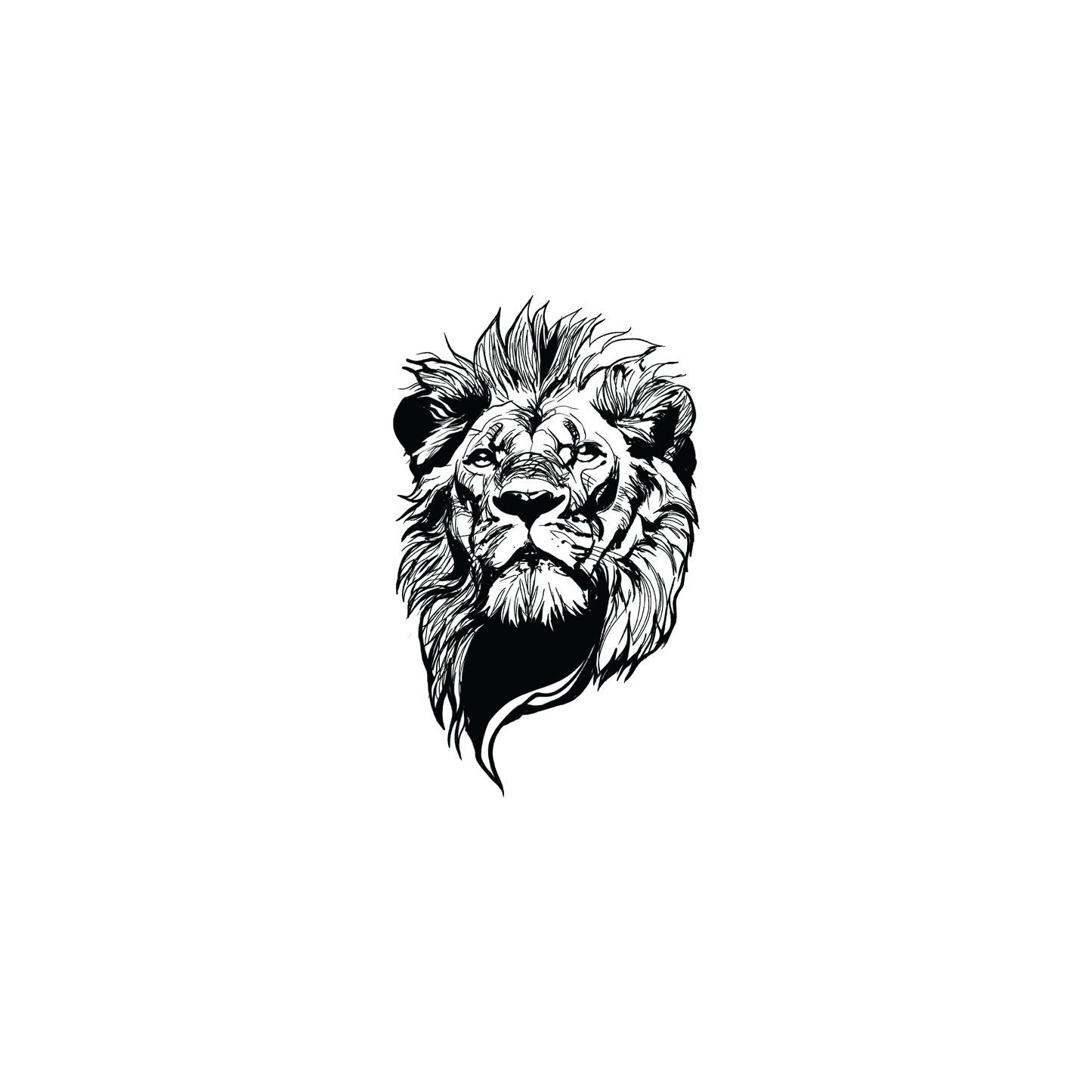 Tigon v.6