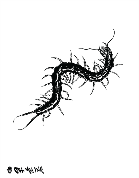 Centipede
